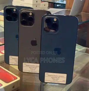 Apple iPhone 12 Pro Max 256GB (Used)