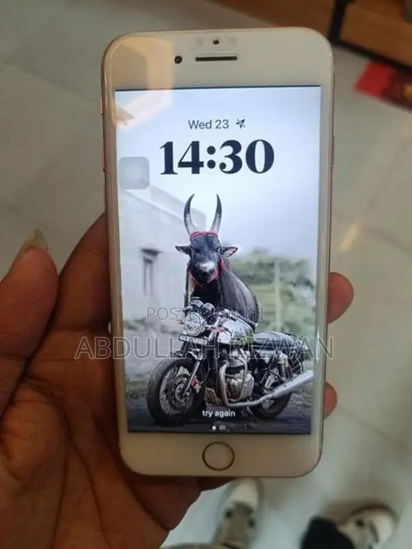 Apple iPhone 8 (Used)