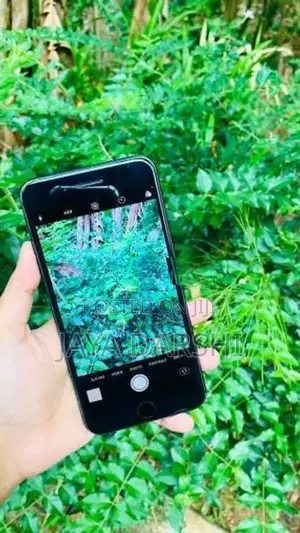 Apple iPhone 7 Plus (Used)