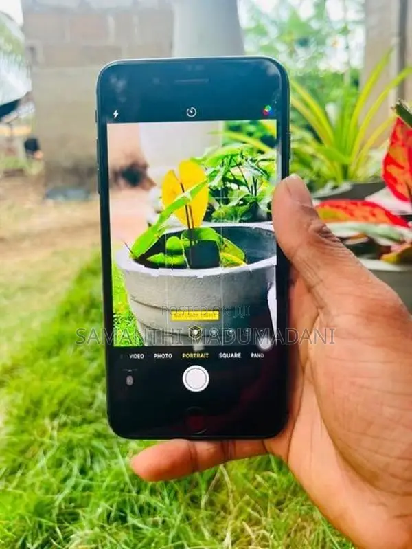 Apple iPhone 8 Plus (Used)