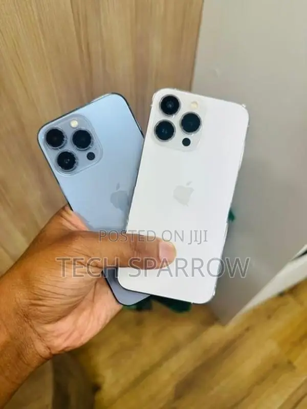 Apple iPhone 13 Pro 256GB (Used)
