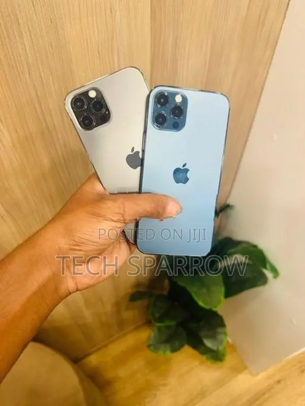 Apple iPhone 12 Pro 256GB (Used)