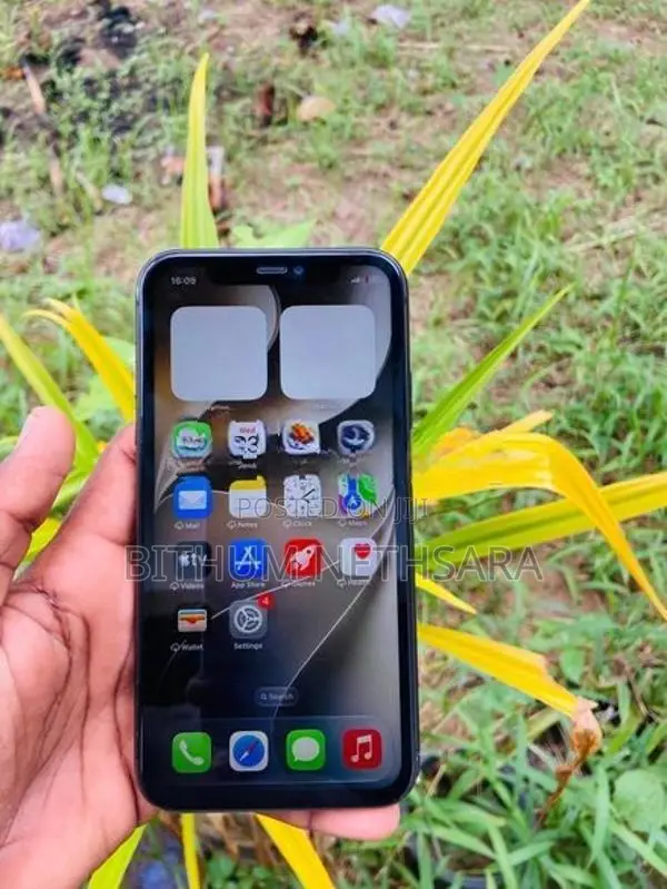 Apple iPhone 11 (Used)