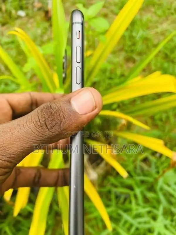 Apple iPhone 11 (Used)
