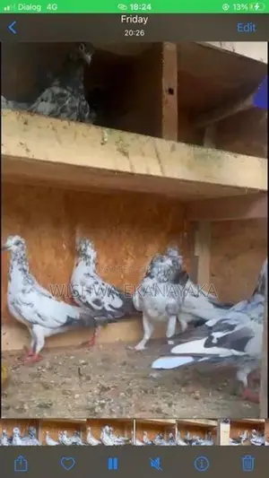 කිරන් 3 ක්