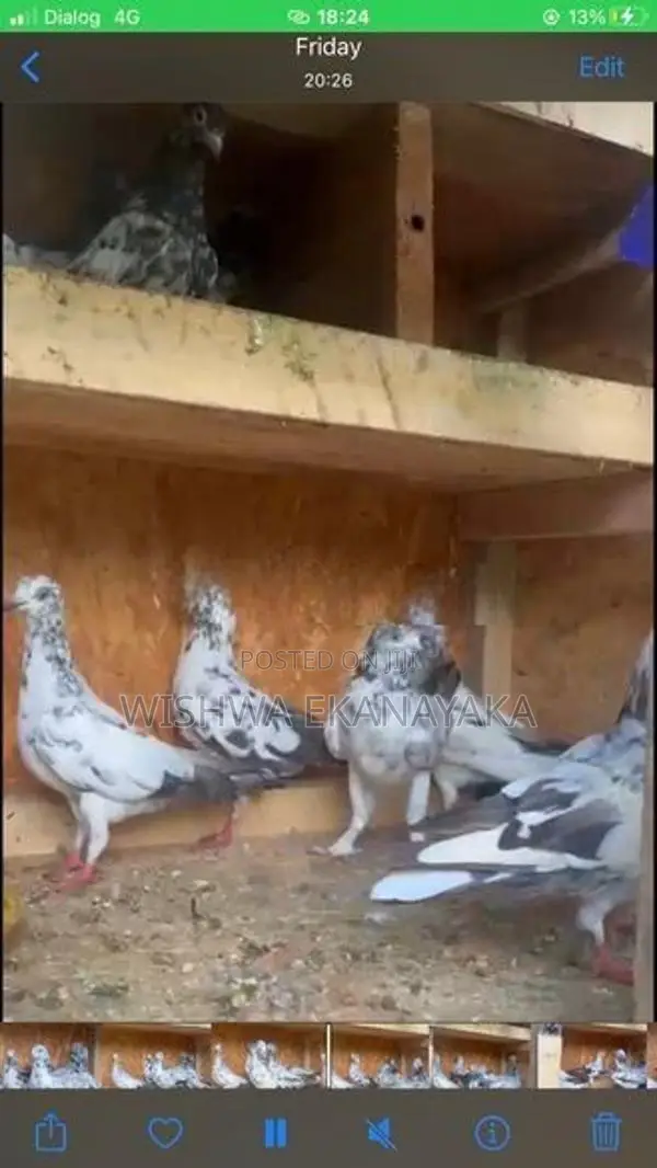 කිරන් 3 ක්