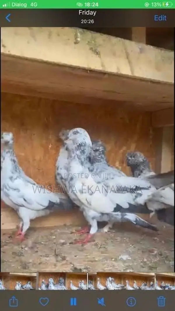 කිරන් 3 ක්