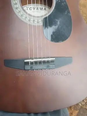 Acoustic Guitar