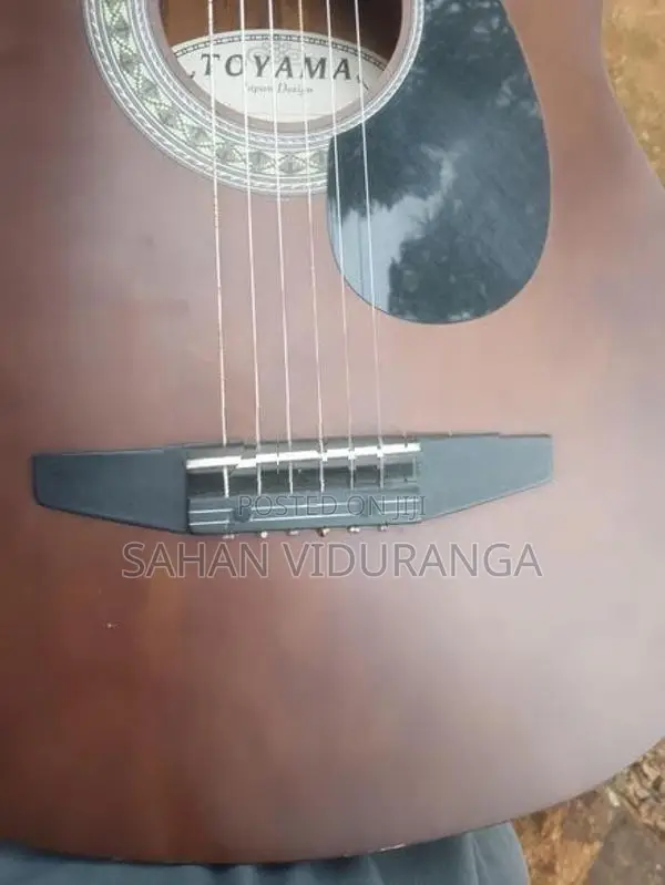 Acoustic Guitar