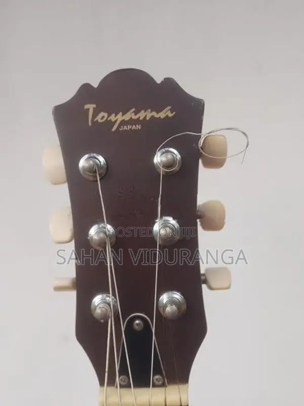 Acoustic Guitar