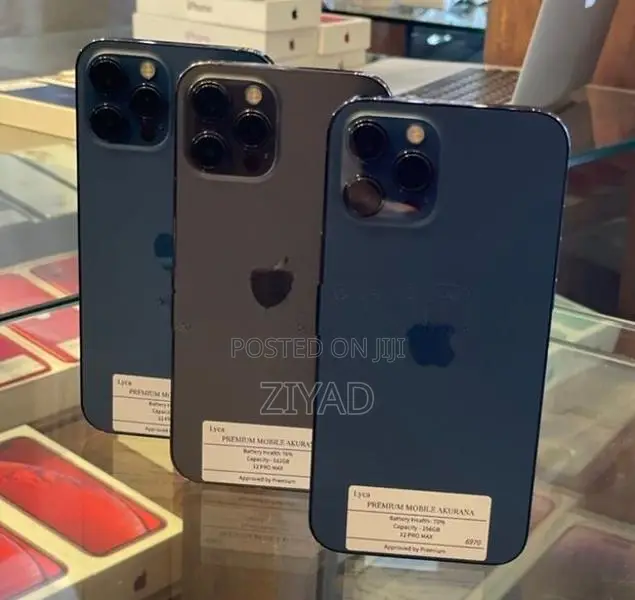 Apple iPhone 12 Pro Max 256GB (Used)