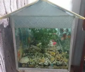 3×1×1 Fish Tank
