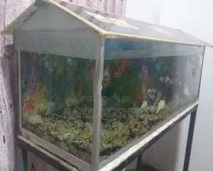 3×1×1 Fish Tank