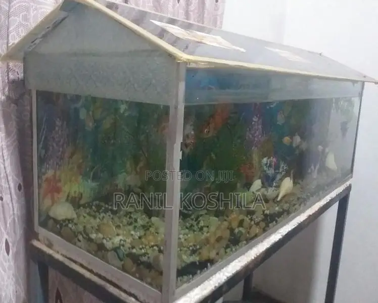 3×1×1 Fish Tank
