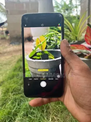 Apple iPhone 8 Plus (Used)