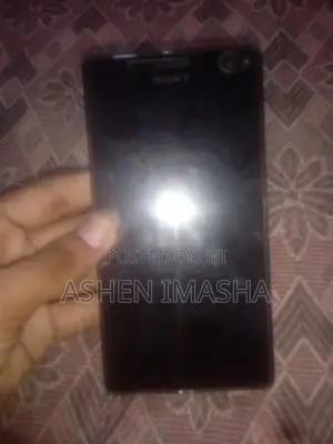 Sony Xperia C4 Display