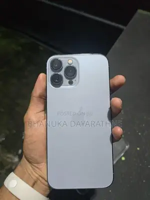 Apple iPhone 13 Pro Max (Used)
