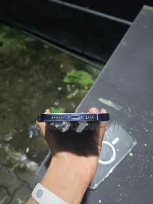 Apple iPhone 13 Pro Max (Used)