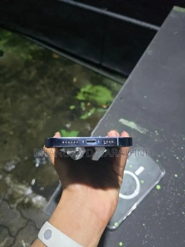 Apple iPhone 13 Pro Max (Used)