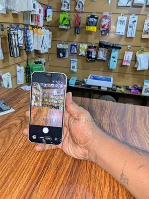 Apple iPhone 12 (Used)