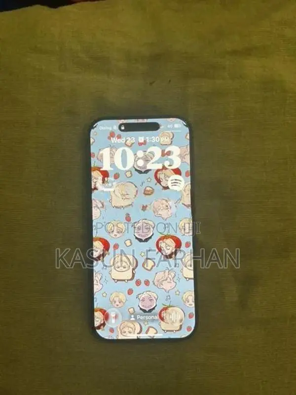 Apple iPhone 17 (Used)