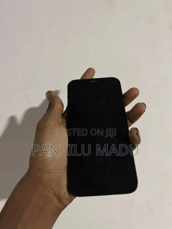 Apple iPhone 12 (Used)