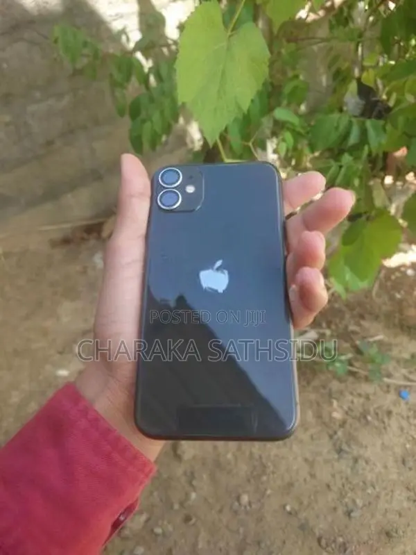 Apple iPhone 11 (Used)