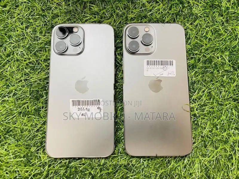 Apple iPhone 13 Pro Max 256GB (Used)
