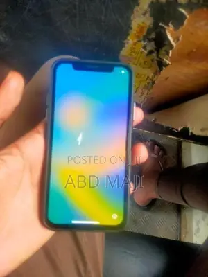 Apple iPhone X (Used)