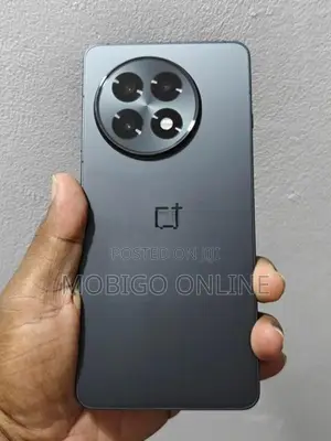 OnePlus 13R 12+12GB 256GB (Used)