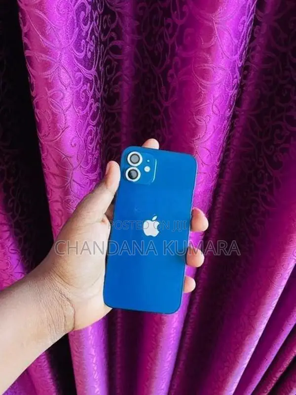 Apple iPhone 12 (Used)
