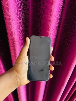 Apple iPhone 12 (Used)