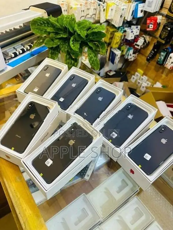 Apple iPhone XS 256GB (Used)