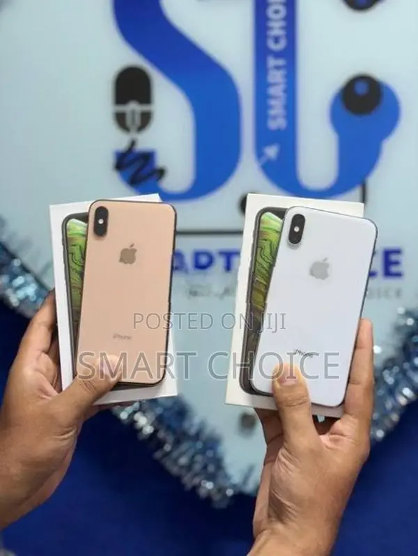 Apple iPhone XS 256GB (Used)