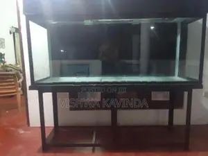 6 Feet Fish Tank
