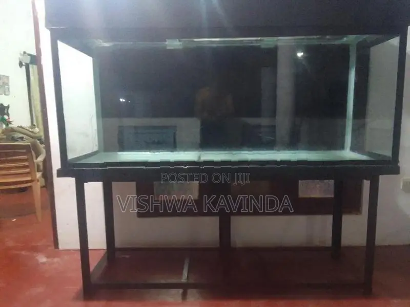 6 Feet Fish Tank