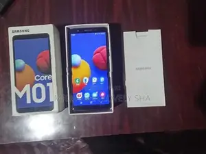 Samsung Galaxy M01 Core (Used)