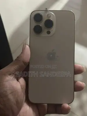 Apple iPhone 13 Pro (Used)
