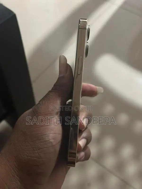 Apple iPhone 13 Pro (Used)