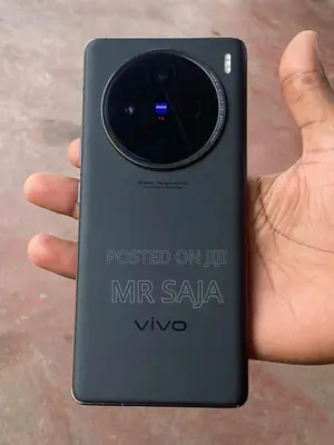 Vivo X100 Pro (Used)