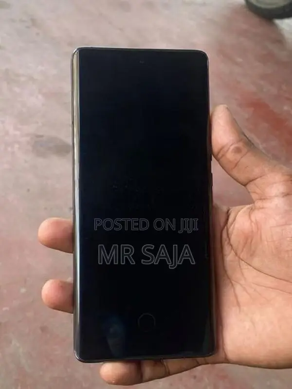 Vivo X100 Pro (Used)