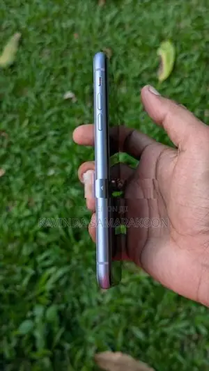 Apple iPhone 11 (Used)
