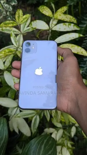Apple iPhone 11 (Used)