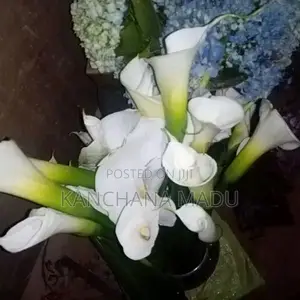 Fresh Flowers