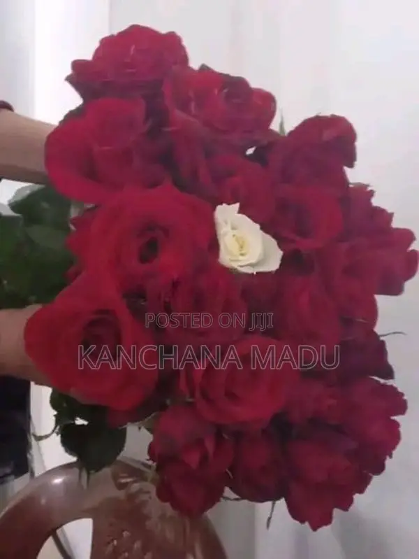 Fresh Flowers
