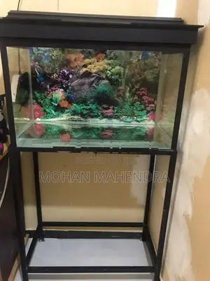 Fish Tank