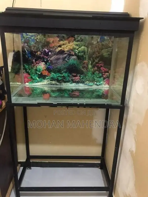 Fish Tank
