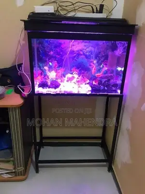Fish Tank