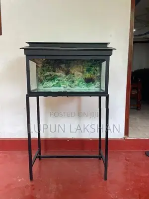 Fish Tank