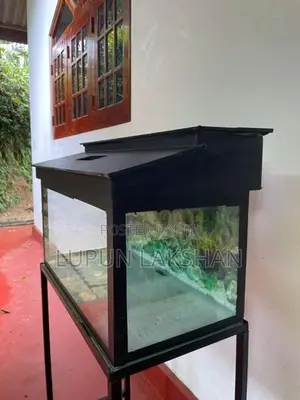 Fish Tank